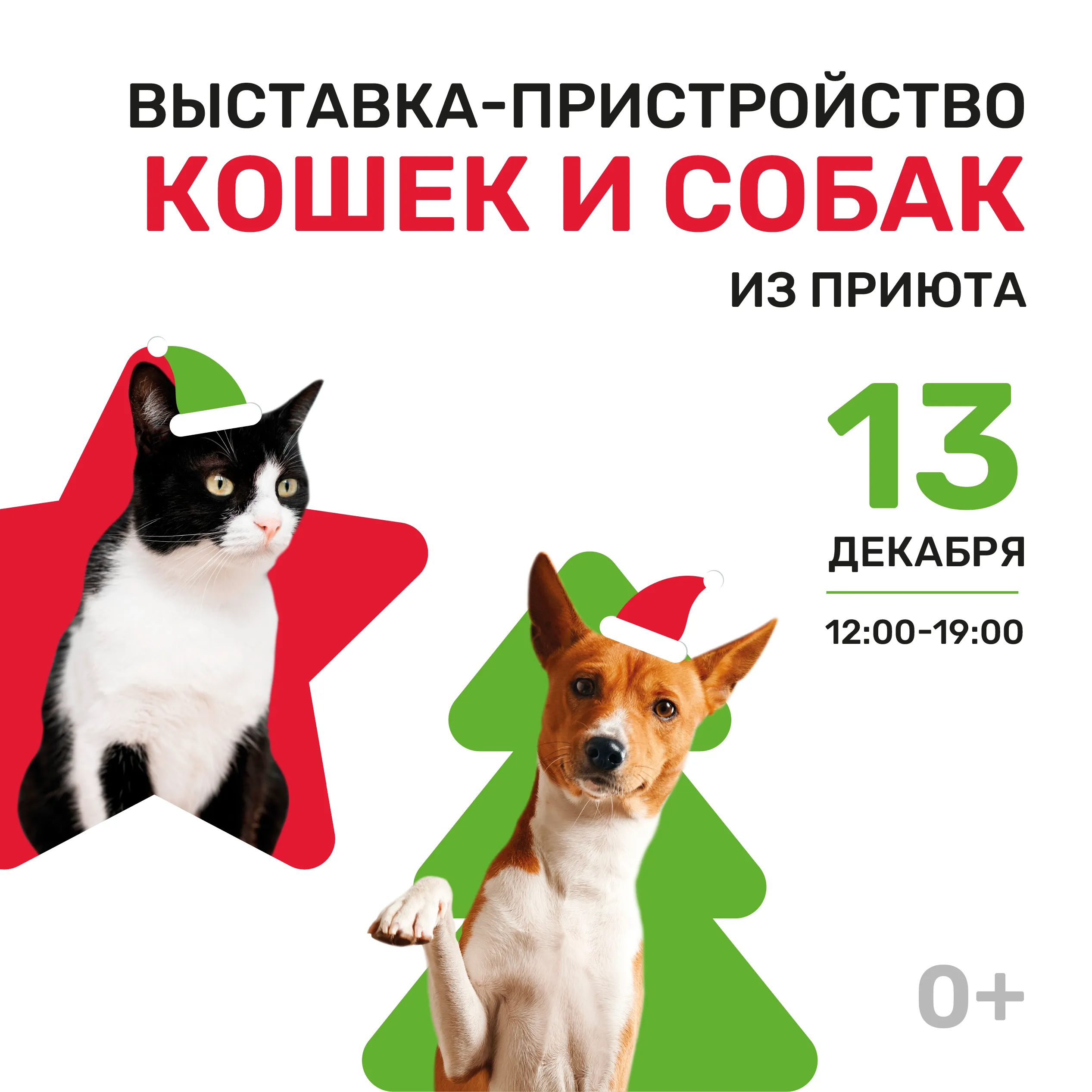 Выставка-пристройство животных из приюта